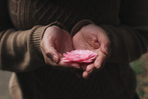 Hands holding flower