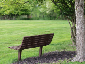 Empty bench